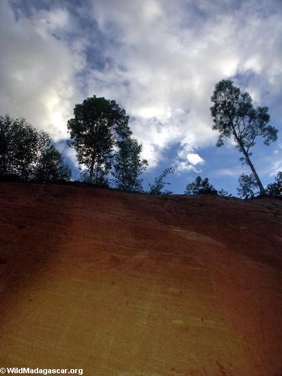 マダガスカルの高地に赤いラテライト粘土