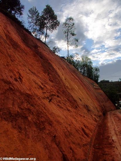 Red earth near Perinet (Andasibe)