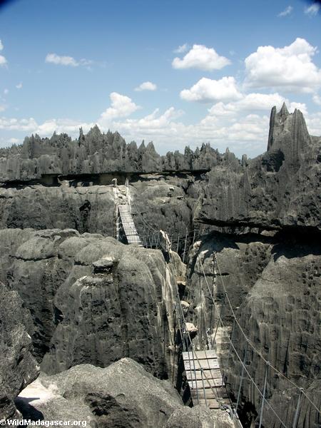 Rope bridge across canyon (Tsingy de Bemaraha)