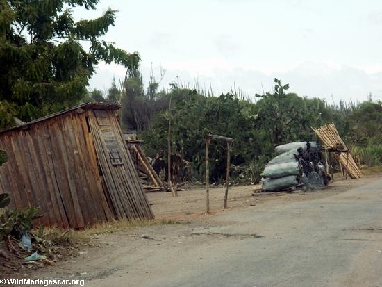 Roadside hut(Berenty)