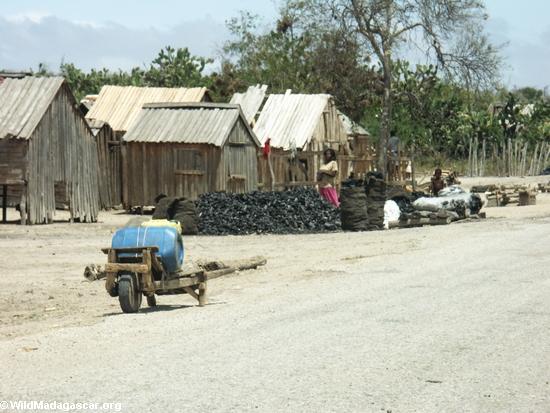 Roadside village selling charcoal(Berenty)