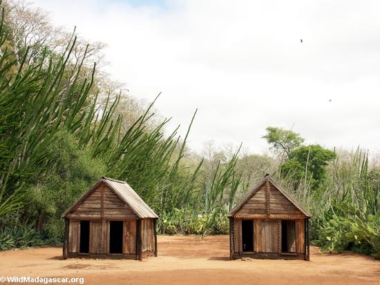 Sample huts of the Antandroy(Berenty)