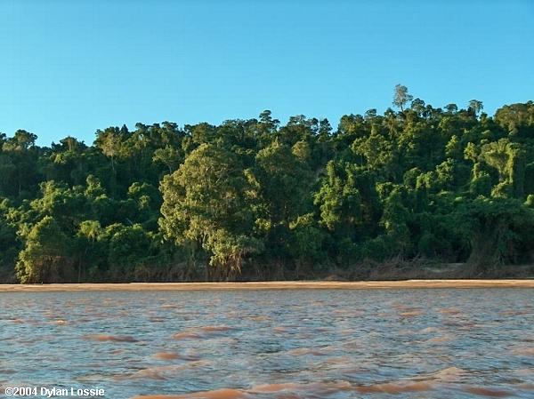 Tsiribihina River  (Tsiribihina River)