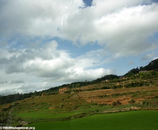 рисовые поля вдоль rn7 на Мадагаскаре