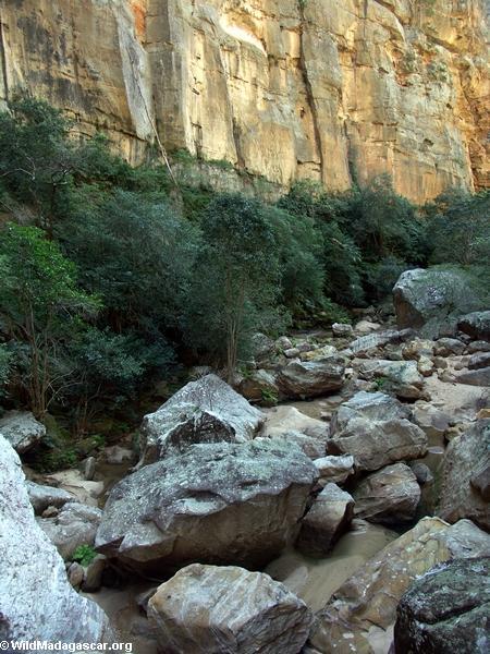 Canyon des rats in Isalo NP (Isalo)