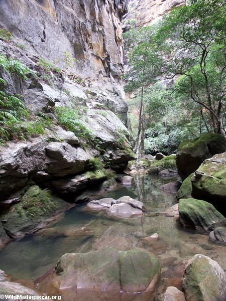 Canyon des Singes in Isalo NP (Isalo)
