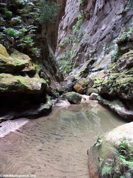 Canyon des Singes in Isalo NP(Isalo)