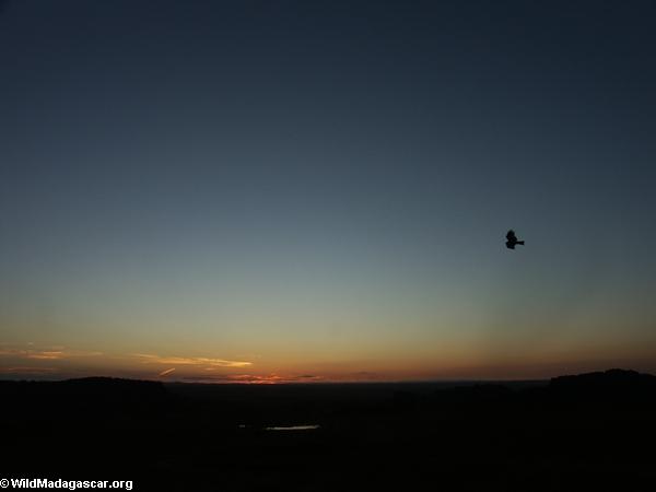 Sonnenaufgang überIsalo Nationalpark