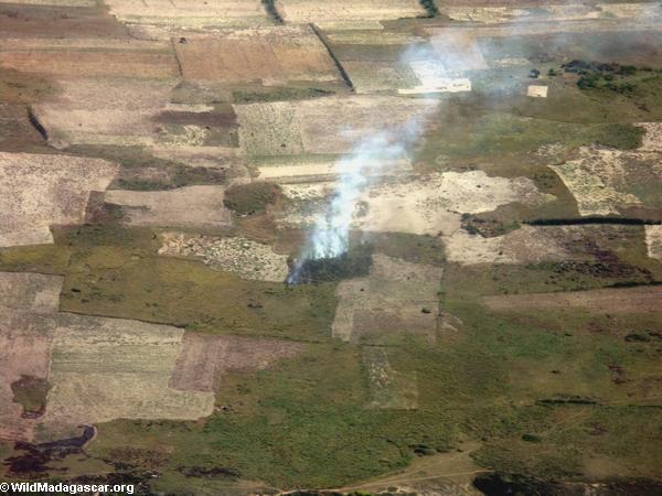 Landwirtschaftliches Feuer in Südmadagaskar