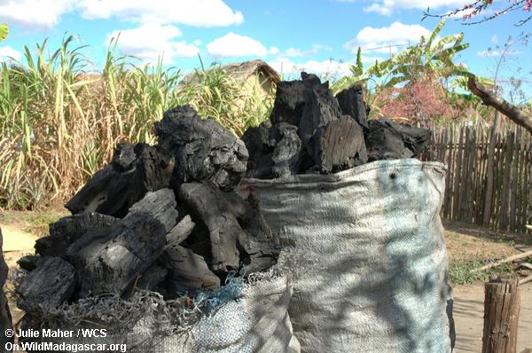 木炭は、道路に沿って販売されて