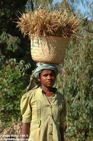 Femme malgache avec le panier sur sa tête