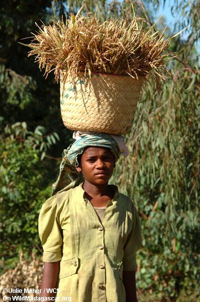Mujer malgache con la cesta en su cabeza