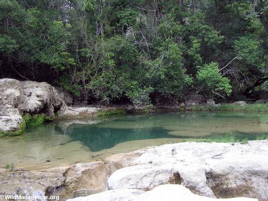Pool da pedra calcária no creek de Oly