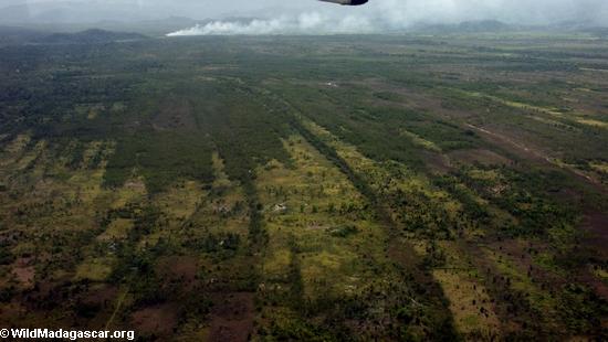 Área Deforested en la línea divisoria de las aguas occidental de la bahía de Antongil