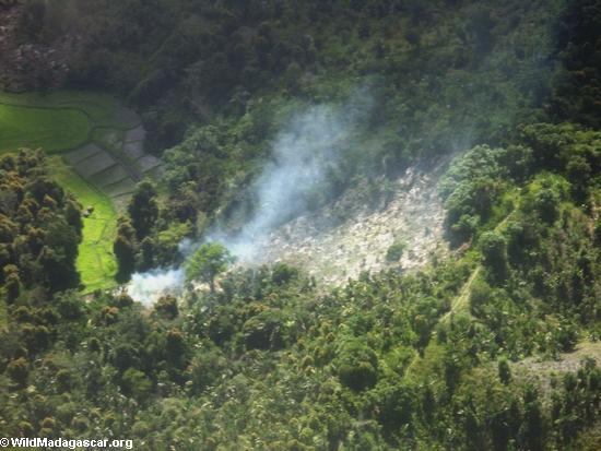 マダガスカルの森林火災農業多湿で設定