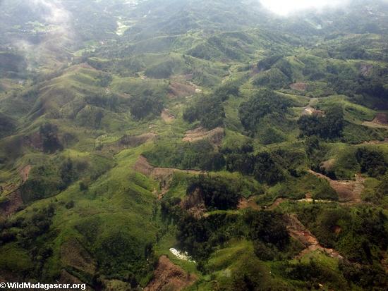 マダガスカル北東部の熱帯森林破壊