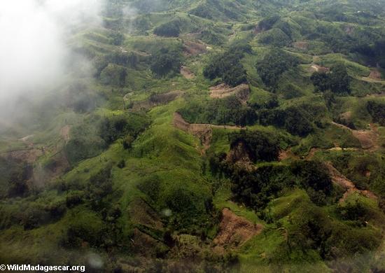 Deforested patches near Makira (Maroantsetra to Tamatave)