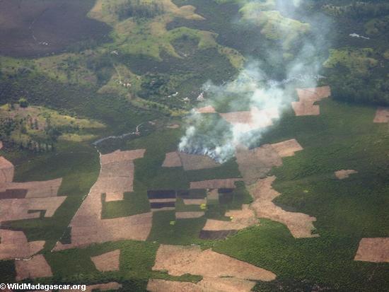 マダガスカルのウェットの農業森林火災