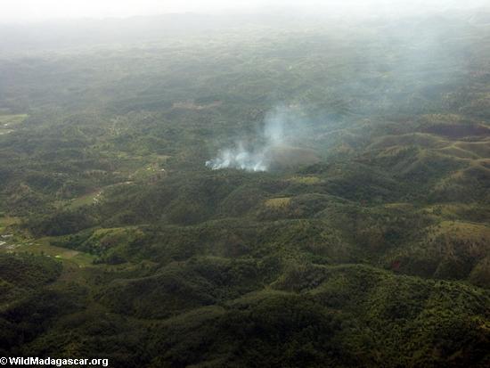マダガスカルの熱帯雨林の農業火災