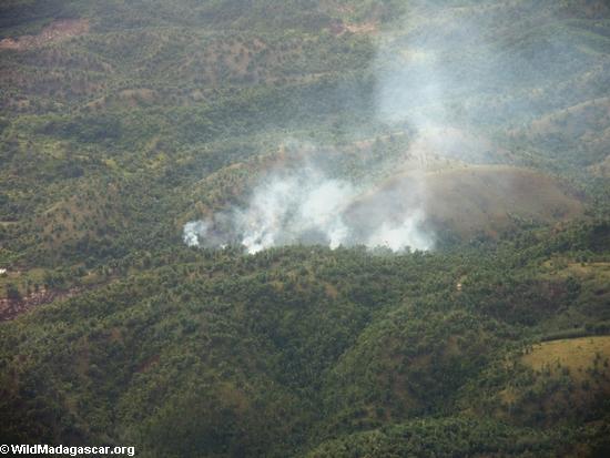 Agricultural fires in tropical forests of Madagascar (Maroantsetra to Tamatave)
