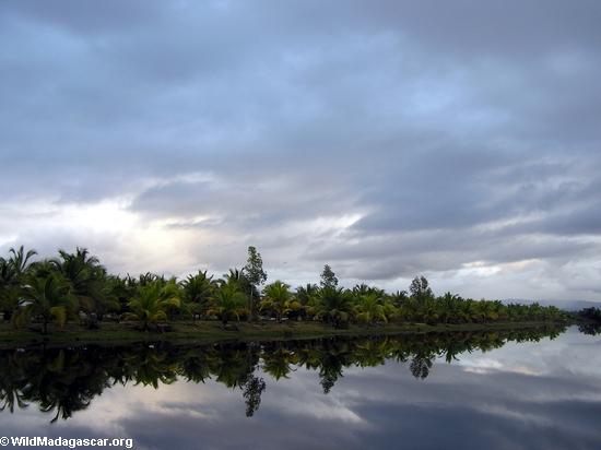 lagune Paume-rayée au coucher du soleil près de Maroantsetra