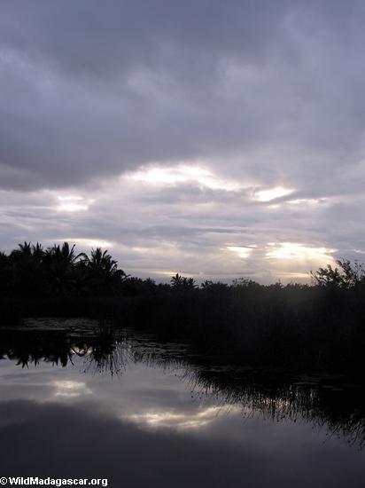 Palme-gezeichnete Lagune am Sonnenuntergang