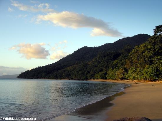 Strand auf der Masoala Halbinsel