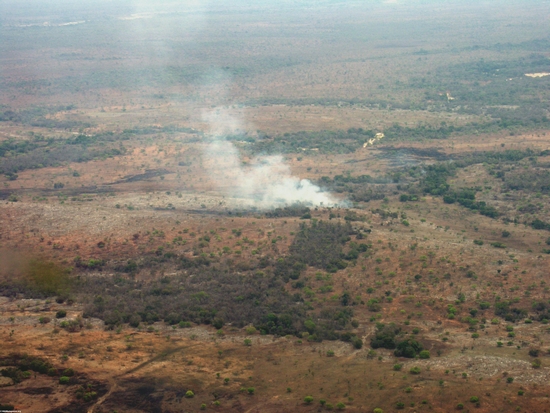 Aerial view of fire in western Madagascar (Tulear)
