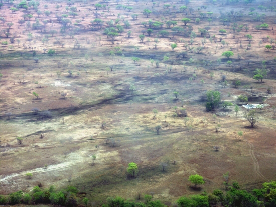 Aerial view of deforestation in western Madagascar (Tulear)
