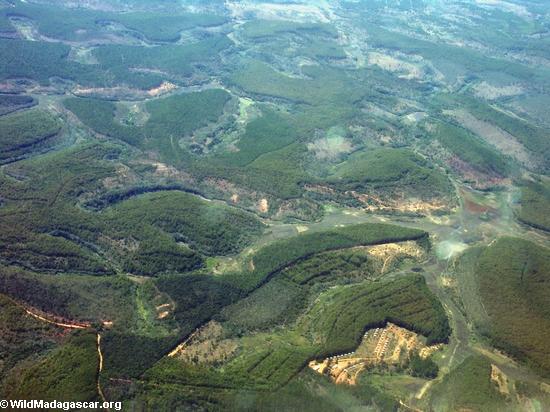 Forest fragments in Madagascar (aerial view) (Airplane flight from Anatananarivo to Maroantsetra)