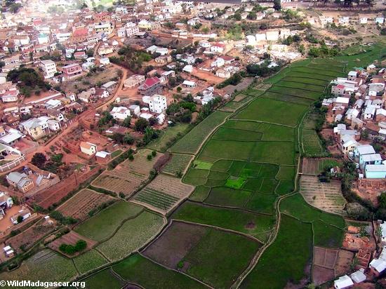 Antananarivoの水田の上からの眺め