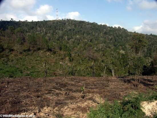 Deforestation in Madagascar(RN7)