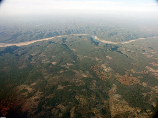 Luftaufnahme des trockenen Waldes
