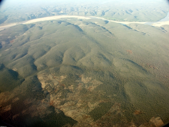 Luftaufnahme des trockenen Waldes