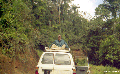 rhett atop car in Mantadia (Perinet)