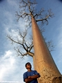 Benja with baobabs (Morondava)