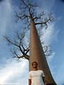 Rhett with baobabs (Morondava)