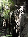 tsingy canyon (Tsingy de Bemaraha)