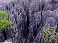 tsingy from above (Tsingy de Bemaraha)