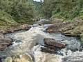 Ranomafana river  (Ranomafana )
