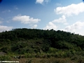 Tavy deforestation (Ifasina / Antoetra)