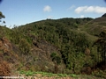 Tavy deforestation (Ifasina / Antoetra) [ifasina0172]