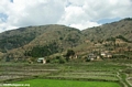 Rice paddies in Madagascar (RN7)
