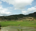Rice paddies near Antananarivo, Madagascar (RN7)