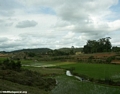 Central highland rice paddies in Madagascar (RN7)