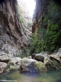 Canyon des rats in Isalo NP (Isalo)