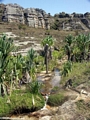 Isalo stream with palms and sandy substrate (Isalo)