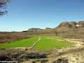 Rice paddy in Isalo (Isalo)