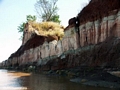 Clay cliffs along Manambolo (Manambolo)