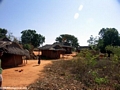 Tsianaloka village (Manambolo)